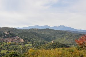 thumb_dsc_8254_1024